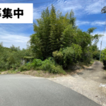 No.48 小屋付き竹林 キャンプ場にも、新築用地としても（売買）